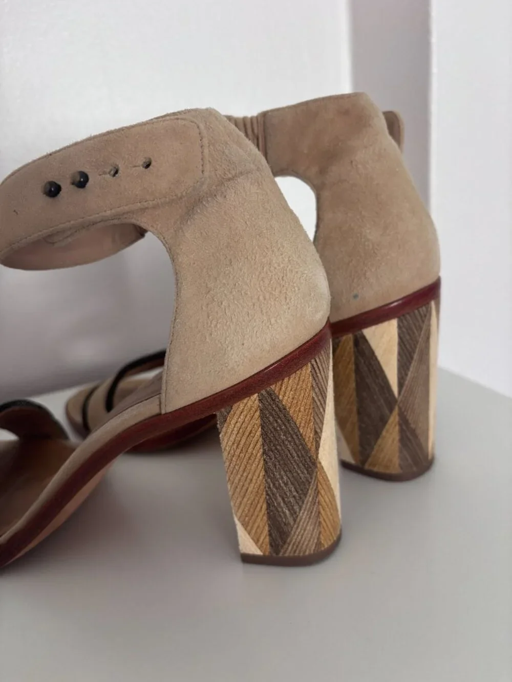 Bernardo Anthro bernardo by